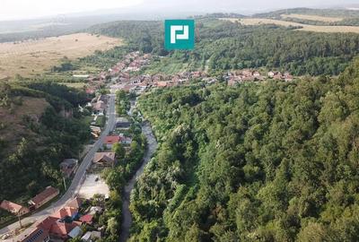 Teren Intravilan, in ora?ul Sebi?, Arad - 13