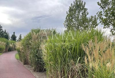 Dumbrava Vlasiei – Armonie între design, lumină și natură - 12