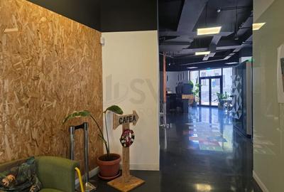 Spațiu comercial, de 2,444 mp, în Grădina Icoanei - 6