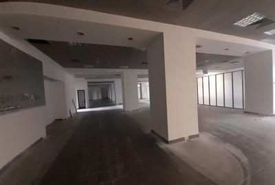 Piata Unirii-spatiu comercial 2000mp - 3