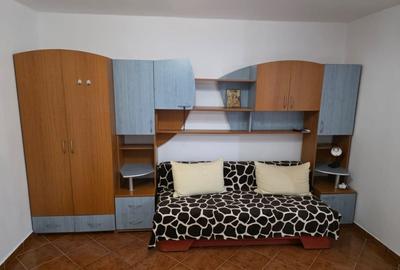 Garsoniera renovata, mobilata, cu parcare - Mihai Bravu - 1