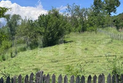 Teren intravilan, deschidere la drum Bezdead, Dambovi? - 3