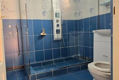 Casa cu curte Blascovici Bogdanesti in fa?a - 6