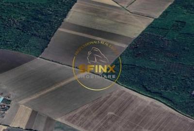 Teren extravilan de vanzare – Moara Vlasiei, Gagu, Ilfov – 7.151 mp - 3