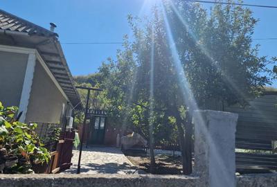 Casă cu 3 camere decomandat în Babadag - 5