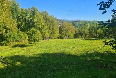 Casa la ro?u + 4391 mp teren de vanzare in comuna Valea Danului, sat Borobane?ti, jude? Arge?. - 5