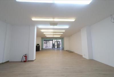 Spatiu Comercial Nicolina 330 mp - 4