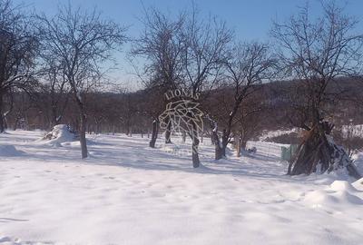 Casă cu 3 camere cu Teren 15000 Mp în Chiochiș - 2