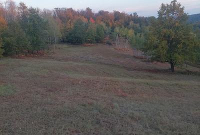 Spațiu comercial, în Ineu - 6