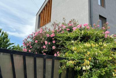 Casă cu 5 camere cu Teren 370 Mp în Central - 2