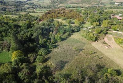 Teren Construcții de 16500 mp, în Măgureni - 4