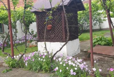 Casă cu 4 camere în Ramna - 8