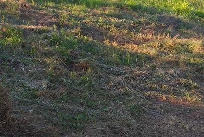 Casă cu 4 camere în Văleni - 2