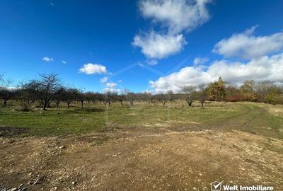 Teren Dambu Rotund 4750 mp, intravilan, UTR TDA_L, posibilitate investitie - 2