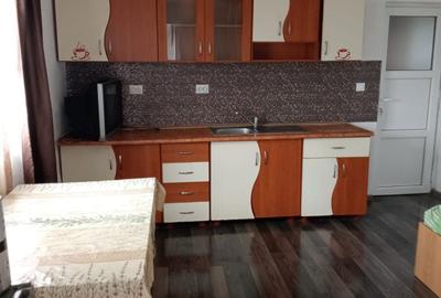 Casă cu 2 camere în Șura Mare - 2