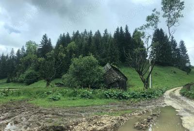 Teren de 2988 mp, în Fundata - 2