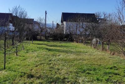 Casă cu 2 camere în Central - 6