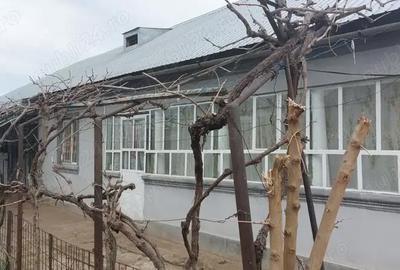 Casă cu 3 camere în Radomirești - 2