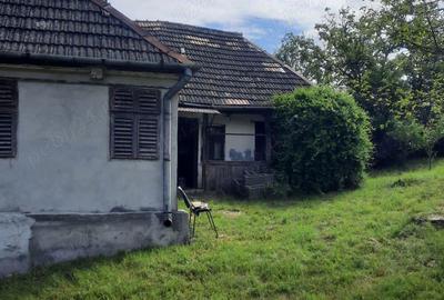 Casă cu 2 camere cu Teren 1600 Mp în Frunzeni - 3