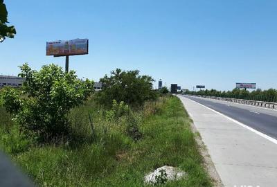 Teren de 5000 mp, în Manolache - 3