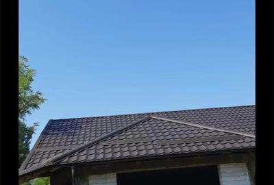 Casă cu 5 camere în Balta Doamnei - 5