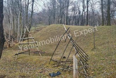 Teren de vanzare in comuna Arefu, jude? Arge?. - 20