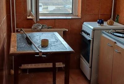 Apartament proaspat renovat 1 camera, Circumvalatiunii/Kaufland - 6