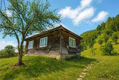 Teren de 5425 mp, în Județean - 5