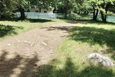 Teren 4713 mp investitie Imobiliara | Poiana Brasov - 9