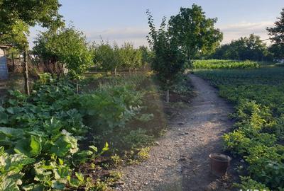 Spațiu comercial, în Fântânele - 5