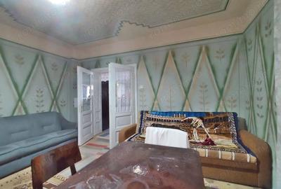 Casă cu 4 camere cu Teren 4122 Mp în Petid - 20