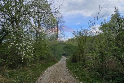Teren superb, intravilan - la marginea padurii ! - 9