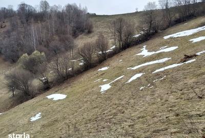 Teren de 19000 mp, în Moieciu - 2