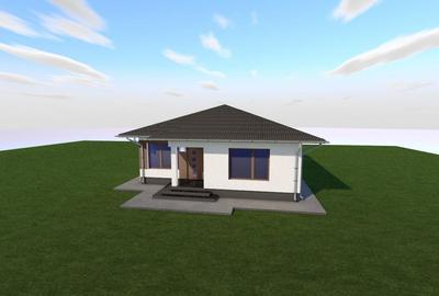 Casa 3 camere, pivnita si terasa, Lilieci - 4