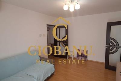 Apartament 2 camere de inchiriat zona Brazda lui Novac - 9