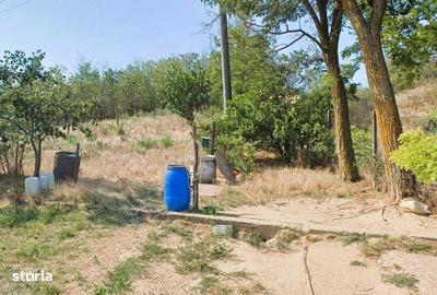 Casă cu 4 camere cu Teren 5300 Mp în Oancea - 4