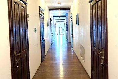 Casă cu 11 camere în Horodnic - 4