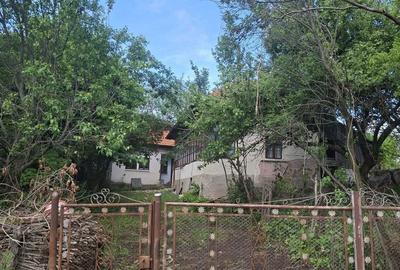 Teren de 4236 mp, în Cotenești - 2