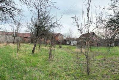 Casa din caramida si teren generos - zona linistita Casa din caramida si teren generos - zona linistita - 8