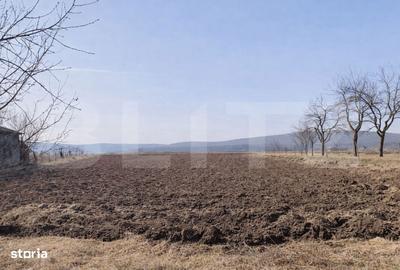 Casă cu 2 camere cu Teren 2300 Mp în Gornești - 2