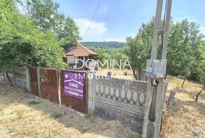 Casă cu 2 camere cu Teren 5209 Mp în Mușetești - 10