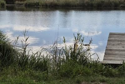 TEREN COREBACA LAGUNA ALBASTRA-3 m LAC TEREN COREBACA LAGUNA ALBASTRA-3 m LAC - 6