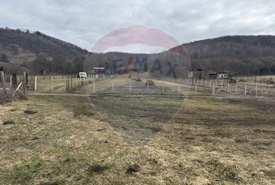 Teren Construcții intravilan de 999 mp, în Florești - 7