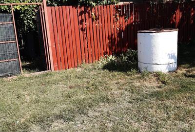 Casă cu 4 camere cu Teren 3120 Mp în Bogata - 2