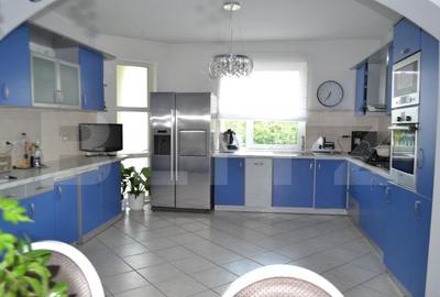 Casa-Vila cu multiple destinatii Unirea - 20