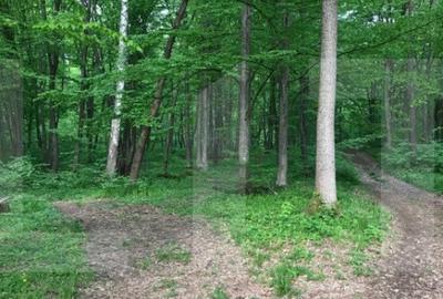 Teren intravilan, 1300 mp, Faget - 2