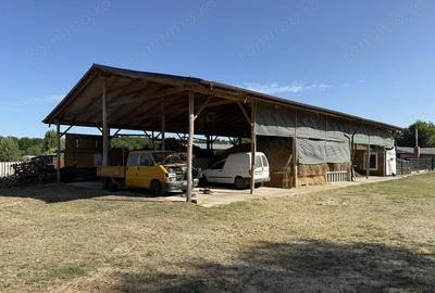 Spațiu comercial, de 500 mp, în Șimian - 5