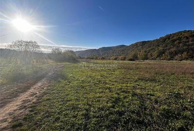 Teren de 2754 mp, în Bocșa - 1