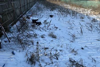 Teren de 500 mp, în Afumați - 3