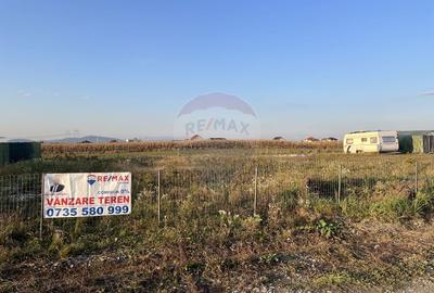 Teren 650mp Sacele / Strada Venus  - Gata de Construit | 0% COMISION! Teren 650mp Sacele / Strada Venus  - Gata de Construit | 0% COMISION! - 3